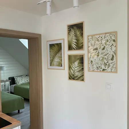 U Kasi * 쿠도바-즈루이