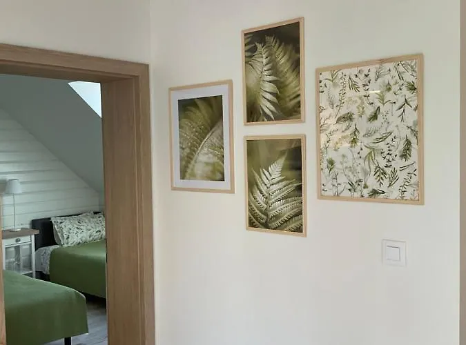 U Kasi * 쿠도바-즈루이